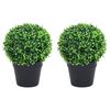 vidaXL Artificial Boxwood Plants 2 pcs with Pots Ball Shaped Green 27 cm