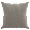 vidaXL Throw Pillows 2 pcs Light Grey 40x40 cm Velvet