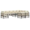 vidaXL 11 Piece Garden Lounge Set with Cushions Anthracite Poly Rattan