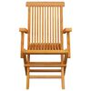 vidaXL Garden Chairs with Beige Cushions 3 pcs Solid Teak Wood