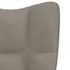 vidaXL Relaxing Chair with a Stool Light Grey Velvet