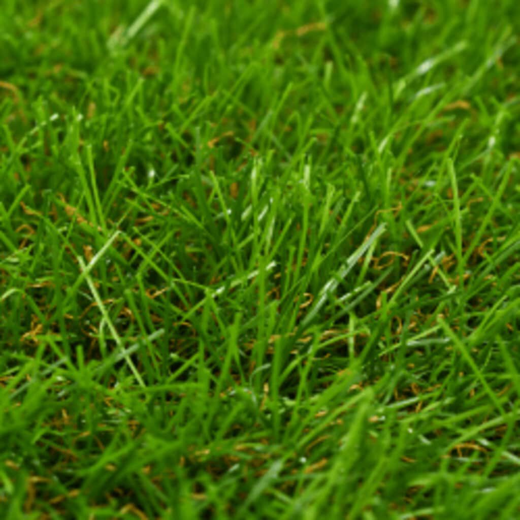 vidaXL Artificial Grass 1x15 m/40 mm Green
