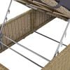 vidaXL Sunlounger Poly Rattan Brown and Dark Grey