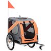 Orange_and_grey
