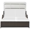 vidaXL 2-Person Sun Lounger with Canopy Poly Rattan Brown