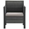 vidaXL 2 Piece Garden Lounge Set with Cushion Rattan Anthracite