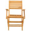 vidaXL Folding Garden Chairs 2 pcs 55x62x90 cm Solid Wood Teak
