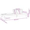 vidaXL 2-Seater Sofa Bed with Two Pillows Dark Grey Velvet