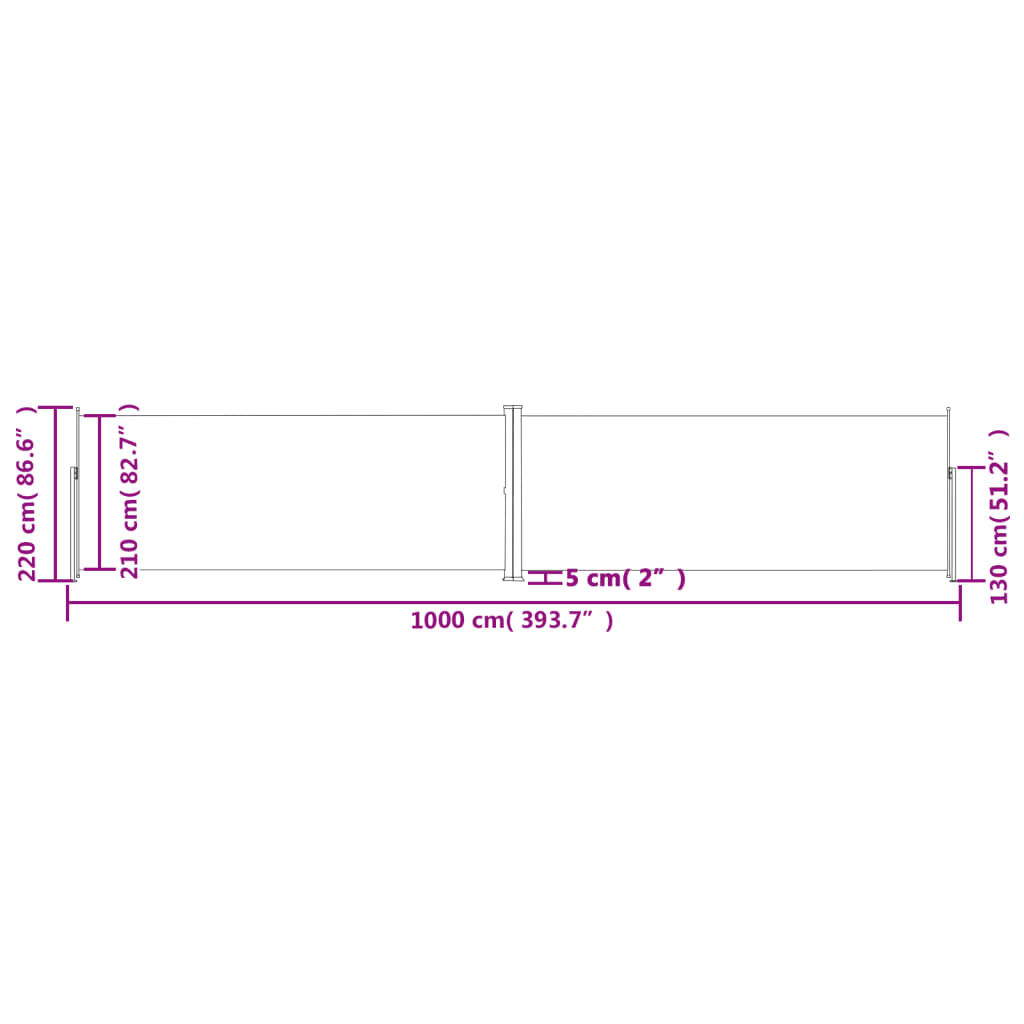 vidaXL Retractable Side Awning Anthracite 220x1000 cm
