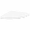 High_gloss_white