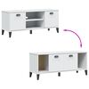 vidaXL Shoe Bench VIKEN White 106x35x45 cm Engineered Wood