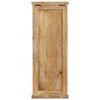 vidaXL Coat Racks 2 pcs Solid Wood Mango 38x100 cm