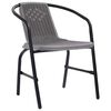 vidaXL Garden Chairs 4 pcs Plastic Rattan and Steel 110 kg