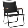 vidaXL Camping Chairs 2 pcs Black 54x55x78 cm Oxford Fabric