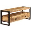 vidaXL TV Cabinet 120x35x45 cm Solid Mango Wood