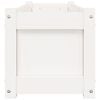 vidaXL Garden Planters 2 pcs White Solid Wood Pine