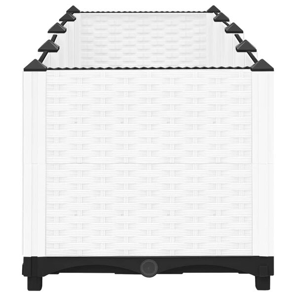 vidaXL Raised Bed 160x40x38 cm Polypropylene