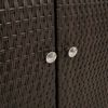 vidaXL Storage Cabinet with Storage Brown 100 x 36 x 102 cm Rattan