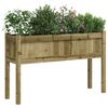 vidaXL Garden Planters 2 pcs with Legs Impregnated Wood Pine