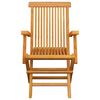 vidaXL Garden Chairs with Blue Cushions 3 pcs Solid Teak Wood