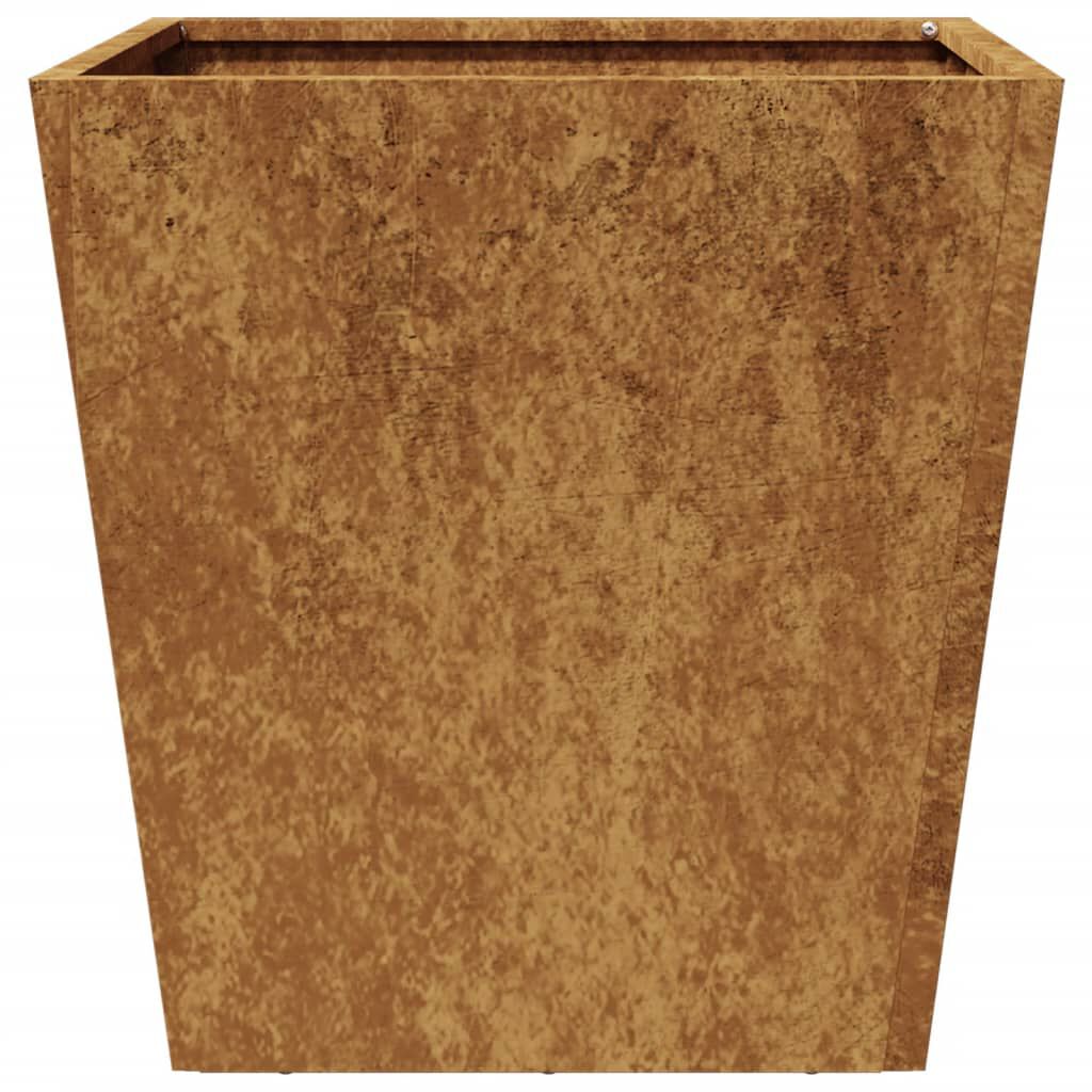 vidaXL Garden Planters 2 pcs 40x40x40 cm Weathering Steel