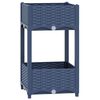 Blue_grey