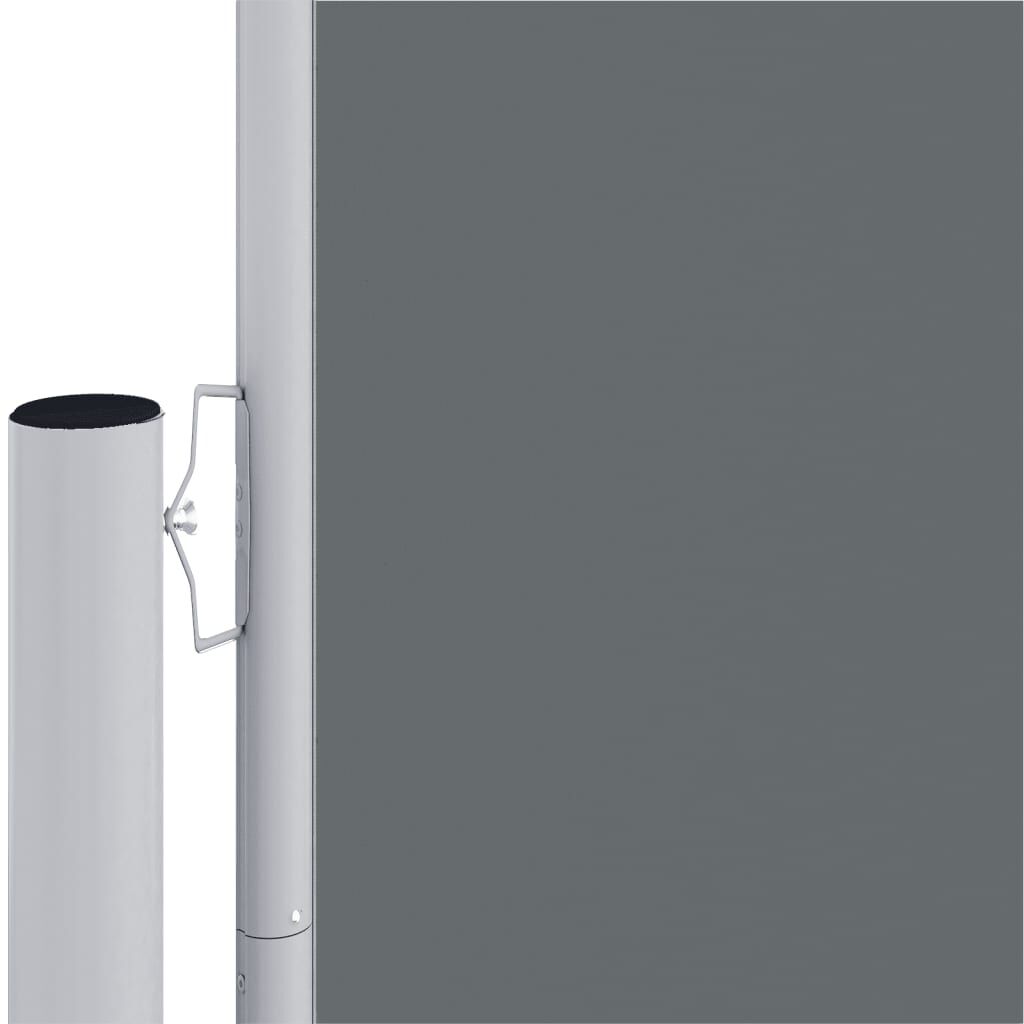 vidaXL Retractable Side Awning Anthracite 220x1000 cm