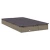 vidaXL 2-Person Sunbed with Cushions Grey Poly Rattan