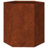 vidaXL Garden Planters 2 pcs Hexagon 46x40x45 cm Weathering Steel