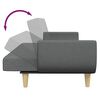vidaXL 2-Seater Sofa Bed with Footstool Dark Grey Fabric