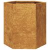 vidaXL Garden Planters 2 pcs Hexagon 46x40x45 cm Weathering Steel