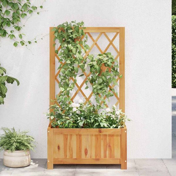 vidaXL Garden Raised Bed with Trellis Solid Acacia Wood