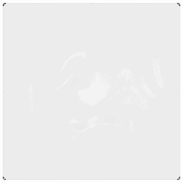 vidaXL Tarpaulin with Eyelets Transparent 2 x 2 m Polyethylene