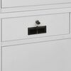 vidaXL Office Cabinet Light Grey 90x40x180 cm Steel and Tempered Glass