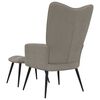 vidaXL Relaxing Chair with a Stool Light Grey Velvet