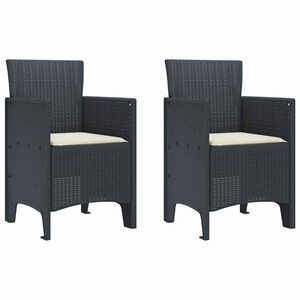 vidaXL Garden Chair 2 pcs Anthracite 53 x 49 x 85 cm PP