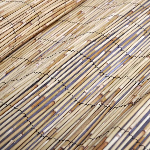 vidaXL Garden Fence 300x100 cm Reed
