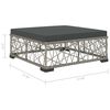 vidaXL 10 Piece Garden Lounge Set with Cushions Poly Rattan Grey