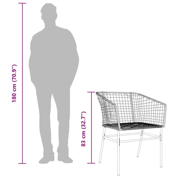 vidaXL Garden Chairs 2 pcs Black Poly Rattan