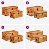 vidaXL Storage Chest Set 2 Pieces Rough Mango Wood