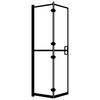 vidaXL Folding Shower Enclosure ESG 80x140 cm Black