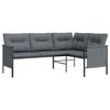 vidaXL 2 Piece Garden Lounge Set Anthracite Steel