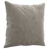 vidaXL Throw Pillows 2 pcs Light Grey 40x40 cm Velvet