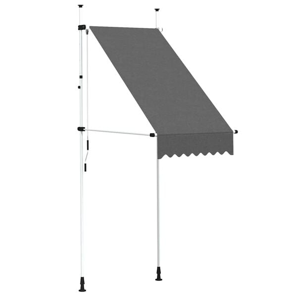 vidaXL Manual Retractable Awning 100 cm Anthracite