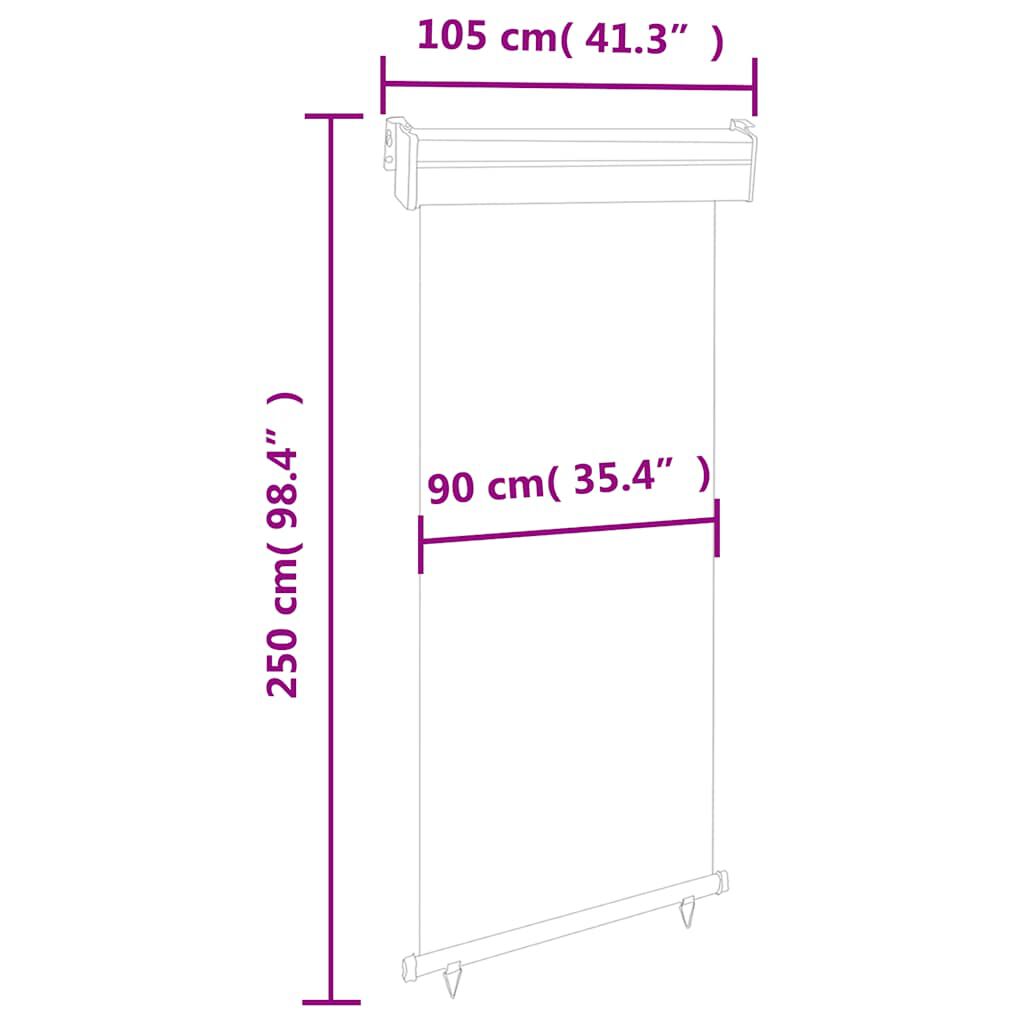 vidaXL Balcony Side Awning 105x250 cm Black