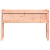 vidaXL Garden Planters 2 pcs with Legs Solid Wood Douglas
