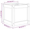 vidaXL Garden Planter 40x40x40 cm Solid Wood Douglas