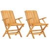 vidaXL Folding Garden Chairs 2 pcs 61x67x90 cm Solid Wood Teak