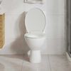 vidaXL Soft-close Toilet Seat White Oval