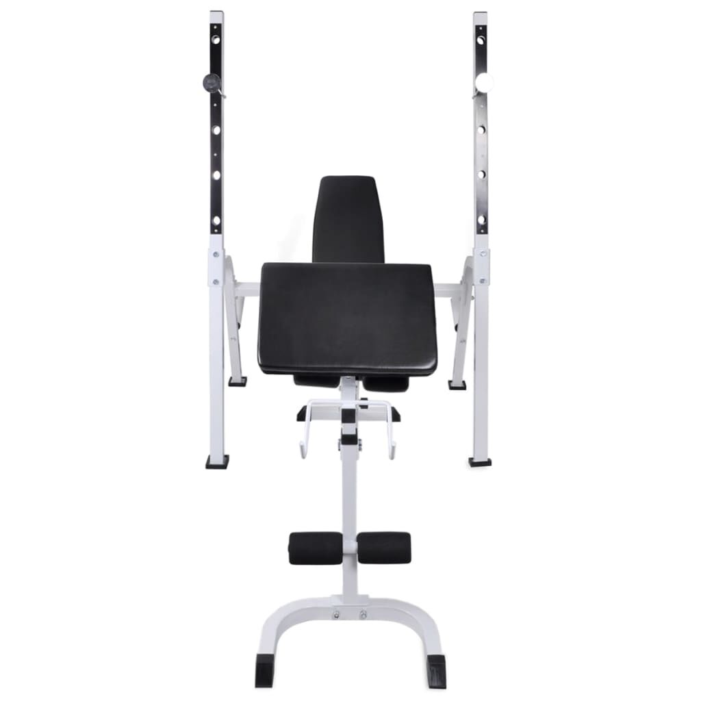 vidaXL Workout Bench with Weight Rack, Barbell and Dumbbell Set 120 kg